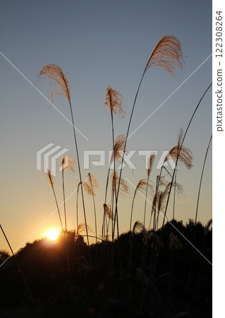 Today's sunrise 2025/1/26 122308264