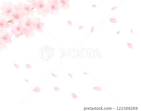 Background of cherry blossoms in full bloom and petals_Cute spring flower watercolor illustration 122308269
