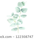 Eucalyptus watercolor hand drawn isolated on white background. Botanical illustration of branch. Floral clipart element for wedding invitations, greeting cards, design of stationery, packaging 122308747