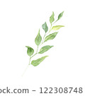 Watercolor Hand drawn greenery illustration isolated on white background. Botanical clipart element. Branch with leaves. Perfect for greeting cards, wedding invitations, packaging, scrapbooking 122308748