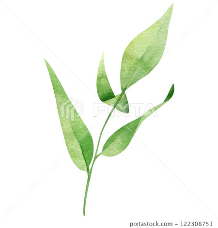 Green leaf watercolor hand drawn illustration isolated on white background. Botanical painted leaf clipart. Perfect for wedding invitations, greeting cards, packaging, wrapping Green leaf watercolor hand drawn illustration isolated on white background. Botanical painted leaf clipart. Perfect for wedding invitations, greeting cards, packaging, wrapping 122308751