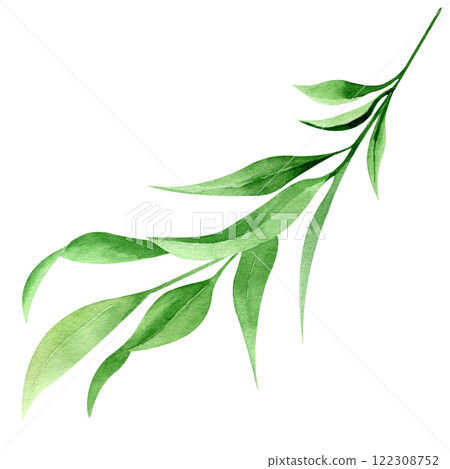 Watercolor hand drawn eucalyptus leaves illustration isolated on white background. Botanical painted leaf clipart. Perfect for wedding invitations, greeting cards, packaging, wrapping Watercolor hand drawn eucalyptus leaves illustration isolated on white background. Botanical painted leaf clipart. Perfect for wedding invitations, greeting cards, packaging, wrapping 122308752
