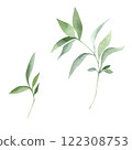 Green leaves watercolor hand drawn isolated on white background. Botanical illustration of branch. Floral clipart element for wedding invitations, greeting cards, design of stationery, packaging 122308753