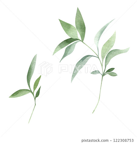 Green leaves watercolor hand drawn isolated on white background. Botanical illustration of branch. Floral clipart element for wedding invitations, greeting cards, design of stationery, packaging Green leaves watercolor hand drawn isolated on white background. Botanical illustration of branch. Floral clipart element for wedding invitations, greeting cards, design of stationery, packaging 122308753