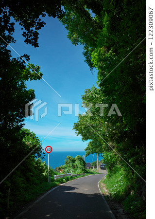 Road to the Summer Sea (Matsue City) 122309067