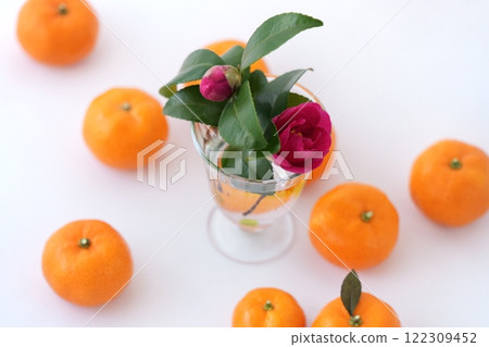 Cute and round small mandarin oranges (3-4cm, 3:2) Cute and round small mandarin oranges (3-4cm, 3:2) 122309452