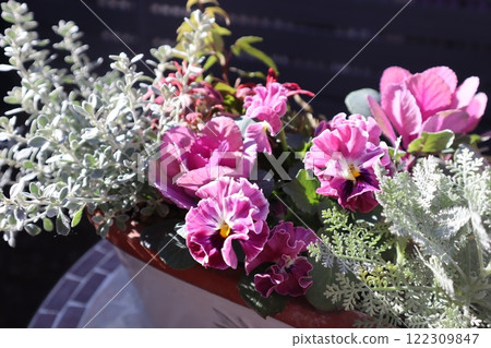 Pink frilly pansy arrangement Pink frilly pansy arrangement 122309847