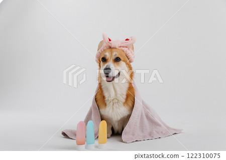 Cute dog with a towel and headband, ready for a spa day with beauty products for pets 122310075