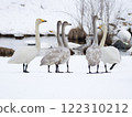 Swan family, parents and children 122310212