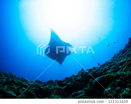 With the blue sea and diver With the blue sea and diver 122311839