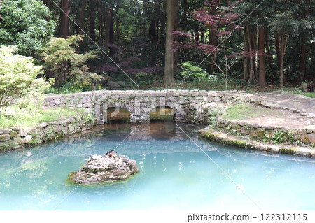 一個安靜的池塘，周圍綠樹環繞 122312115