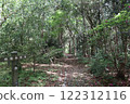 森林裡的小步道 122312116