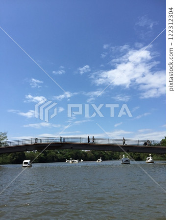 公園池塘上漂浮的鳥兒 122312304