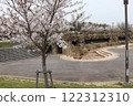 染井吉野櫻花盛開 122312310