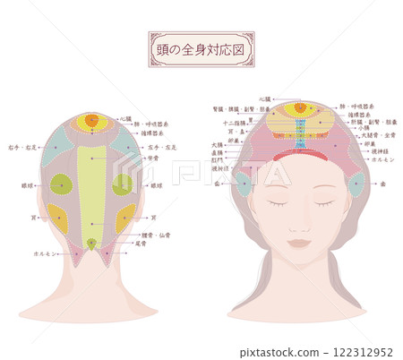 A diagram of the whole head, including the top, front and back of the head, useful for massaging and caring for the head 122312952