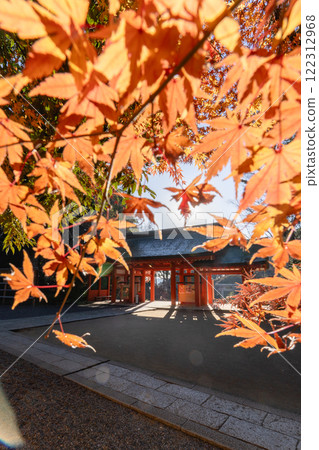 Autumn leaves and the main gate of Katori Shrine 122312968
