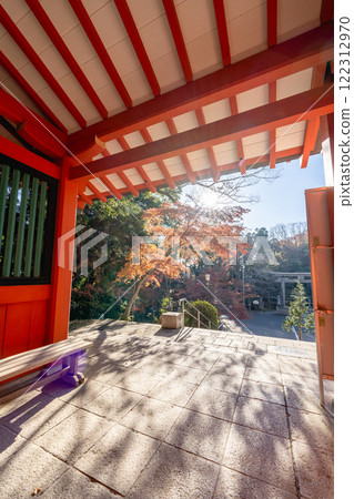 Autumn leaves seen from inside the main gate of Katori Shrine 122312970