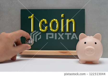 Image of investment and savings with one coin and a piggy bank 122313044