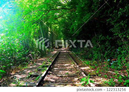中國地區 - 舊國鐵倉吉線 - 從太急寺車站遺址沿著鐵軌步行即可看到的竹林入口 - 鳥取縣倉吉市(2) 122313256