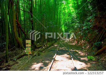 Chugoku region, former JNR Kurayoshi line, Taikyuji station site, extraordinary and fantastical scenery, abandoned railway line in a bamboo forest, Kurayoshi city, Tottori prefecture (1) Chugoku region, former JNR Kurayoshi line, Taikyuji station site, extraordinary and fantastical scenery, abandoned railway line in a bamboo forest, Kurayoshi city, Tottori prefecture (1) 122313257