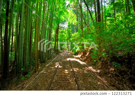 中國地區、舊國鐵倉吉線遺址、被稱為日本最美麗的廢棄鐵路遺址的竹林奇景、鳥取縣倉吉市 (6) 中國地區、舊國鐵倉吉線遺址、被稱為日本最美麗的廢棄鐵路遺址的竹林奇景、鳥取縣倉吉市 (6) 122313271