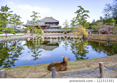 Todaiji Temple: Deer, Middle Gate and Great Buddha Hall 122313381