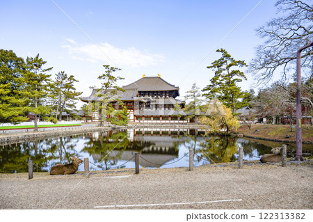 Todaiji Temple: Deer, Middle Gate and Great Buddha Hall 122313382