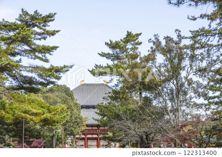 Todaiji Nakamon and Daibutsuden 122313400