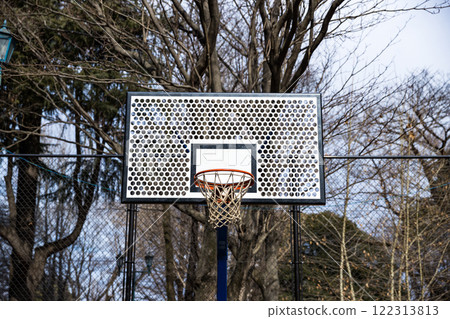 Iruma Park Basketball Goal 122313813