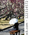 A woman watching the plum blossoms 122314572
