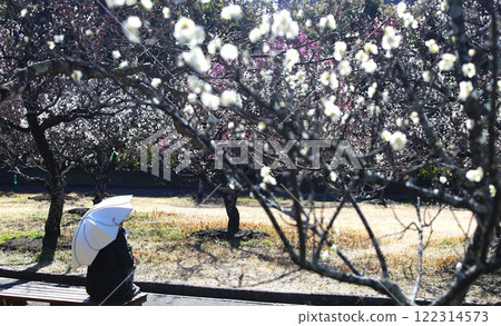 欣賞梅園的女人 欣賞梅園的女人 122314573