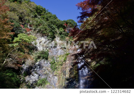 箕面公園和箕面瀑布的紅葉（大阪市箕面市） 122314682