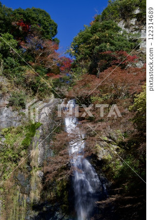 Autumn leaves in Minoh Park and Minoh Falls (Minoh City, Osaka) 122314689