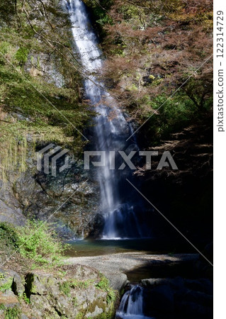 箕面公園和箕面瀑布的紅葉（大阪市箕面市） 122314729