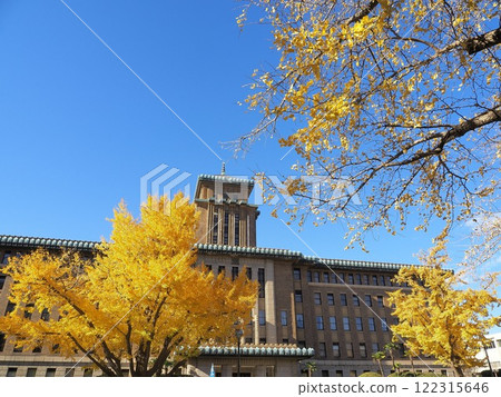 神奈川縣國王塔和銀杏樹 12 月 神奈川縣國王塔和銀杏樹 12 月 122315646