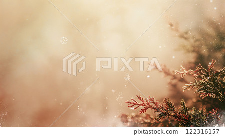 Sparkling winter illuminations Natural Christmas decorations and a warm atmosphere in winter 122316157