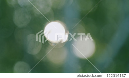 Nature Background. Rays Of Sun Break Through Green Leaves Of Trees. Warm Summer Sunbeams Through Green Tree. Outdoors Sunlight Lens Flare. Bokeh. 122316187