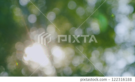 Sun Shines Through Leaves Of Tree. Fresh Green Forest Beautifully Illuminated By Warm Rays Of Summer Sun. Tree Tops With Branches And Green Leaves On A Background Of Blue Sky. Bokeh. Sun Shines Through Leaves Of Tree. Fresh Green Forest Beautifully Illuminated By Warm Rays Of Summer Sun. Tree Tops With Branches And Green Leaves On A Background Of Blue Sky. Bokeh. 122316188