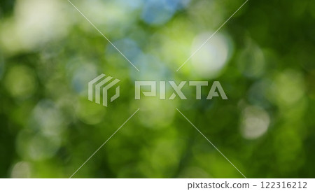 Forest Is A Natural Resource And Place For Recreation. Rich Green Leaves Of A Tree Waving. Travel Vacation Nature Concept. Bokeh. Forest Is A Natural Resource And Place For Recreation. Rich Green Leaves Of A Tree Waving. Travel Vacation Nature Concept. Bokeh. 122316212