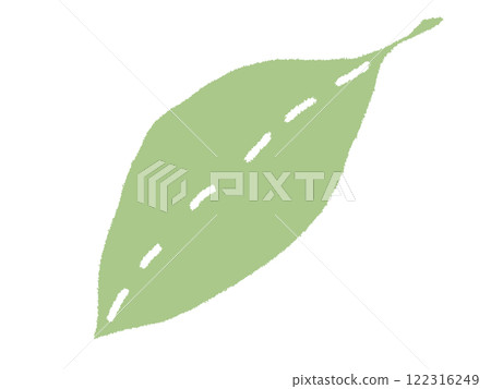 鉛筆風格葉子圖 122316249