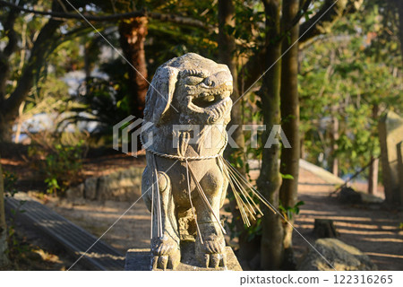 Komainu (guardian lion statues) on the approach to Kashima Daimyojin Shrine in Shodoshima 122316265