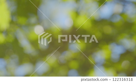 Tree With Green Bright Leaves With Blue Sky At Background. Soft Focus To Fresh Green Leaves Against Blue Sky In Spring Sunny Day. Bokeh. 122316318