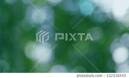 Tree With Green Bright Leaves With Blue Sky At Background. Soft Focus To Fresh Green Leaves Against Blue Sky In Summer Sunny Day. Bokeh. Tree With Green Bright Leaves With Blue Sky At Background. Soft Focus To Fresh Green Leaves Against Blue Sky In Summer Sunny Day. Bokeh. 122316543