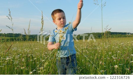Little Boy In A Daisy Field. Cute Little Boy Playing With Flower In Blossom Meadow. Child Picks Wildflowers In A Field. Moves slowly. Little Boy In A Daisy Field. Cute Little Boy Playing With Flower In Blossom Meadow. Child Picks Wildflowers In A Field. Moves slowly. 122316726