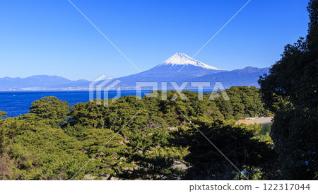View of Toda Bay and Mt. Fuji from Toda 122317044
