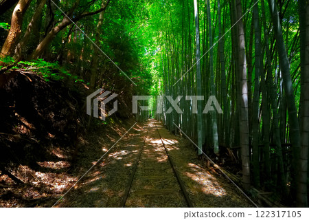 中國地區/原國鐵倉吉線遺址/日本最美的廢棄鐵道遺址、竹林中漂浮的廢棄鐵道風景/鳥取縣倉吉市(1) 中國地區/原國鐵倉吉線遺址/日本最美的廢棄鐵道遺址、竹林中漂浮的廢棄鐵道風景/鳥取縣倉吉市(1) 122317105