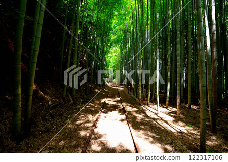 中國地區/原國鐵倉吉線遺址/日本最美的廢棄鐵道遺址、竹林中漂浮的廢棄鐵道風景/鳥取縣倉吉市(2) 中國地區/原國鐵倉吉線遺址/日本最美的廢棄鐵道遺址、竹林中漂浮的廢棄鐵道風景/鳥取縣倉吉市(2) 122317106