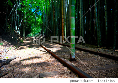 Chugoku region, former JNR Kurayoshi line site, the star of Instagrammable spots: bamboo standing between the rails, Kurayoshi city, Tottori prefecture (2) Chugoku region, former JNR Kurayoshi line site, the star of Instagrammable spots: bamboo standing between the rails, Kurayoshi city, Tottori prefecture (2) 122317109