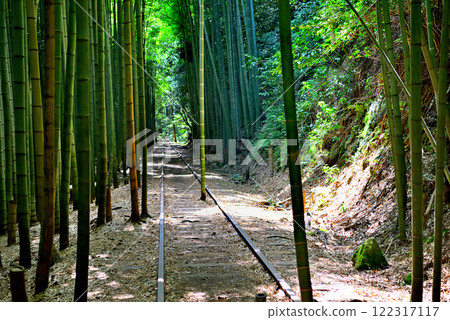 中國地區 - 舊國鐵倉吉線遺址 - 鐵軌之間的竹子，Instagram 上的明星 - 鳥取縣倉吉市 (8) 122317117