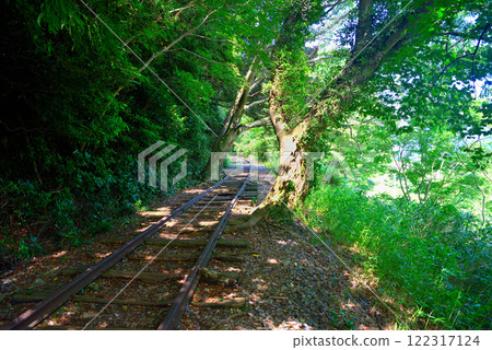 A tree standing on the tracks, giving a sense of the age of the abandoned railway, just before the former Taikyuji Station on the former Kurayoshi line in the Chugoku region, Kurayoshi City, Tottori Prefecture (2) 122317124